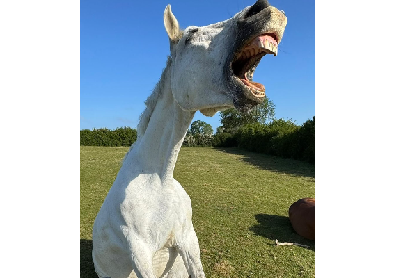 Voucher Template 11709